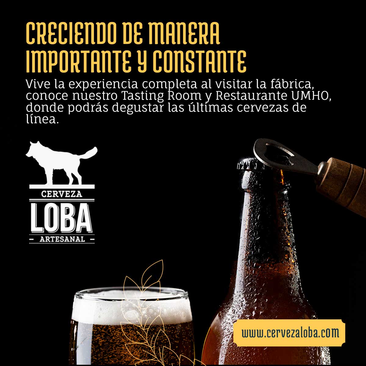 loba publicidad v2